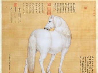 当人与动物和谐共生 祥瑞自然来了