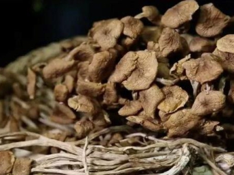 每天吃18克！它有助于延缓大脑衰老、防癌→