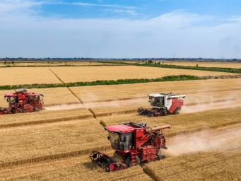 山西永济：种粮大户收获忙